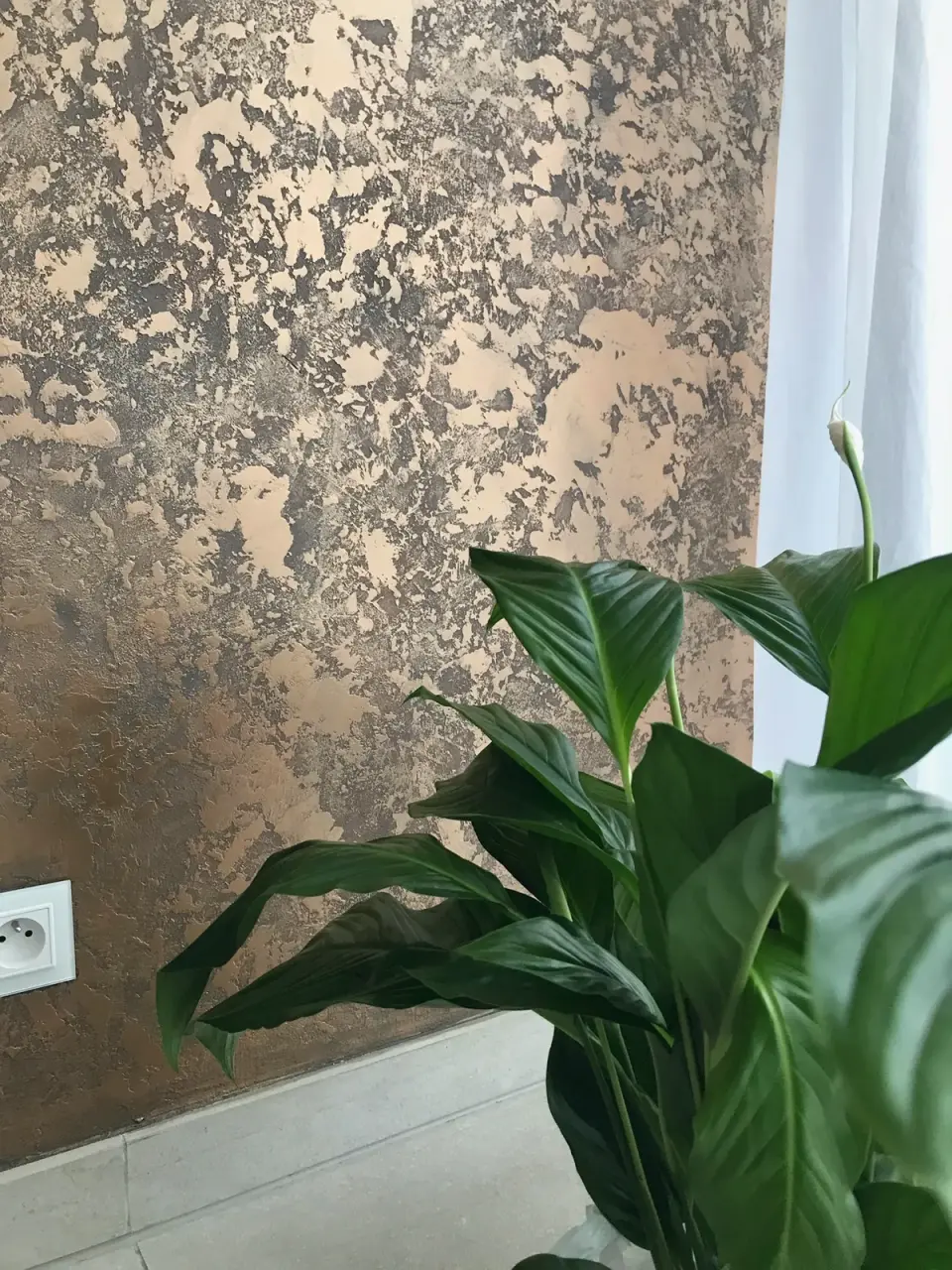 Měděnografitová metalická stěrka na stěně u okna s rostlinou